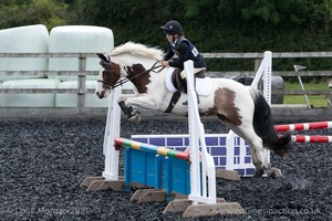 Class 5 - Fences not above 2'6